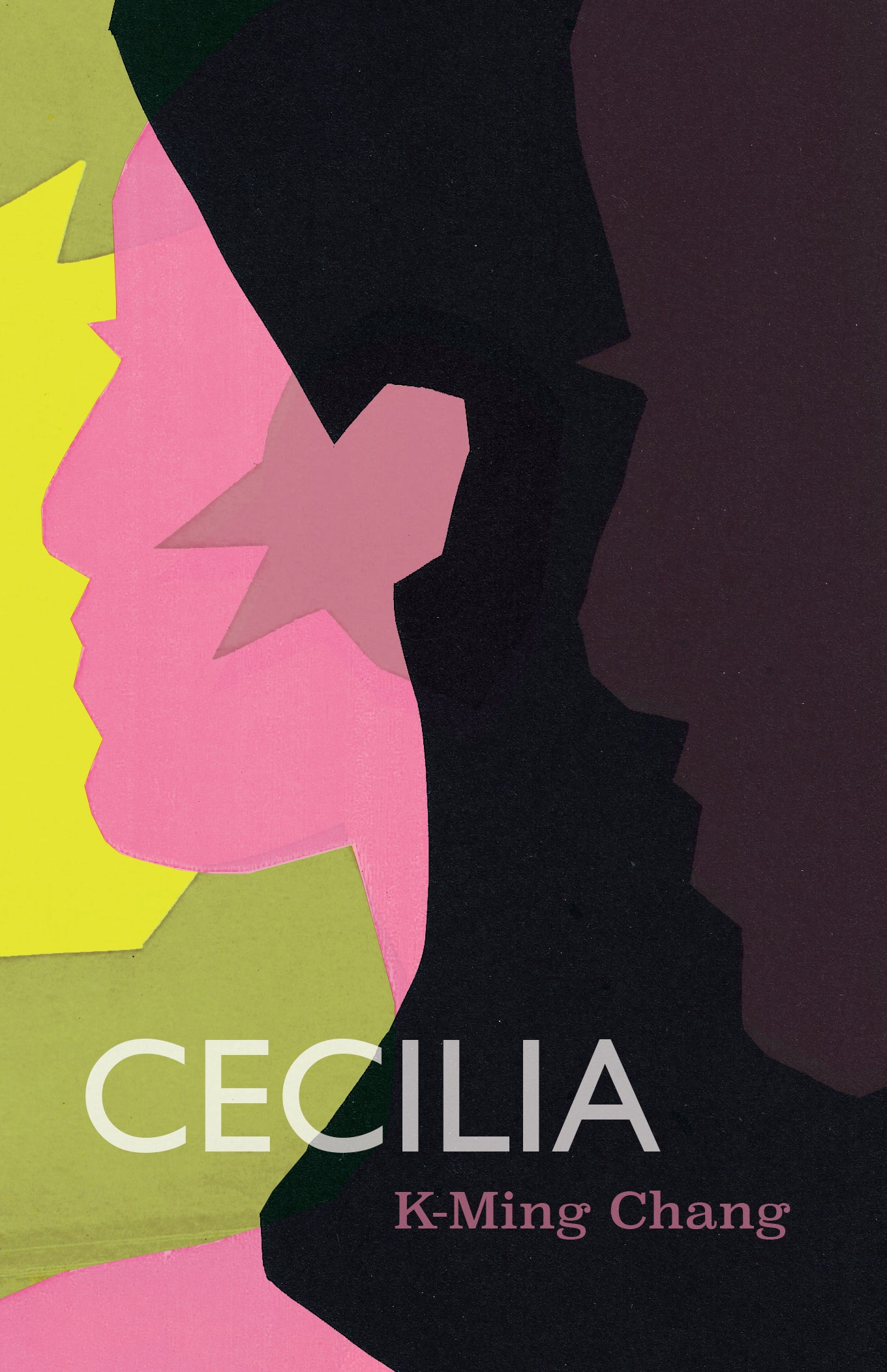 Cover of Cecilia