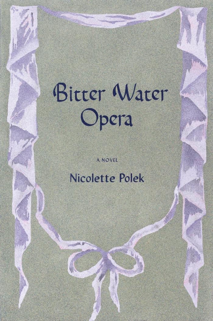 Cover of Bitter Water Opera